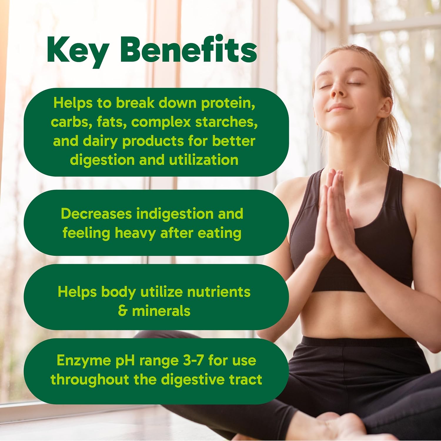 Organika Full Spectrum Plant Enzymes (120 caps)