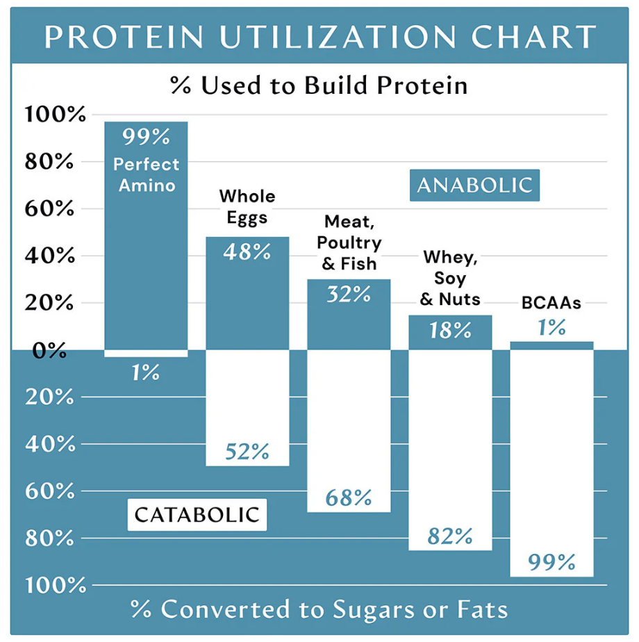 BodyHealth Perfect Amino Coated Tablets  (600 caps)